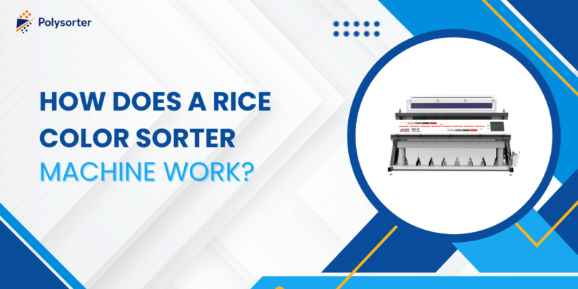 How Does a Rice Color Sorter Machine Work