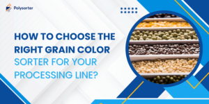How to Choose the Right Grain Color Sorter for Your Processing Line
