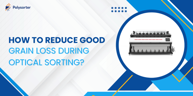 How to Reduce Good Grain Loss During Optical Sorting