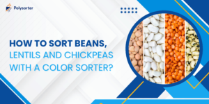 How to Sort Beans, Lentils and Chickpeas with a Color Sorter