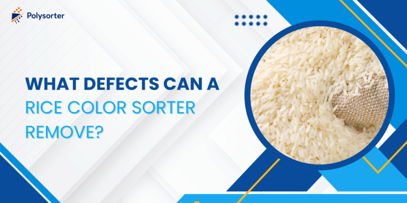 What Defects Can a Rice Color Sorter Remove